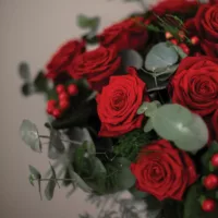 Zoom roses rouge